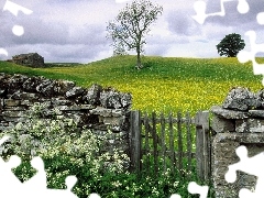 Meadow, viewes, Fance, trees