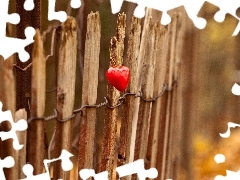 Red, Heart teddybear, wooden, Fance, Old car