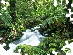 River, Stones, Fern, mossy