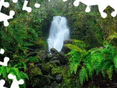 VEGETATION, trees, Stones, viewes, waterfall, Green, forest, fern