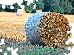 Bele, an, field, hay