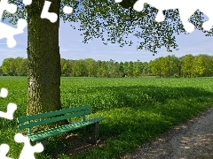 Bench, Field