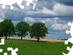 Field, clouds, viewes, Spring, trees