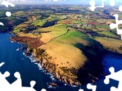 Coast, Cliffs, field, sea