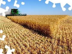 cereals, combine-harvester, Field