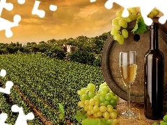 grapes, wine glass, Field, barrel