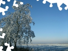 Field, winter, trees