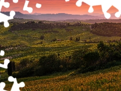 field, trees, Fog, viewes, Great Sunsets, Tuscany, Italy, cypresses