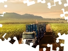 lorry, Way, Field, Volvo cars