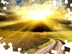 west, Way, field, sun