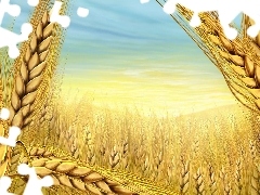 wheat, cereals, Field, Ears