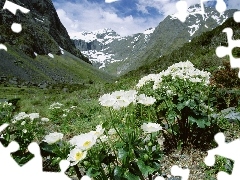 glaucoma, Mountains, Fjordland National Park, alpine