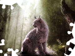 ligh, Lynx, flash, luminosity, sun, forest