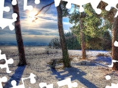 sun, flash, winter, luminosity, viewes, ligh, Przebijaj?ce, trees