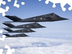 F 117 Nighthawk, fleet