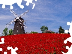 Floral, Windmill, Field