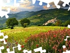 car in the meadow, summer, Floral