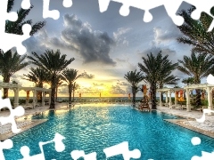 Floryda, USA, Palms, Palm Beach, Pool