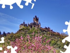 Hill, Castle, flourishing, trees, Spring, Reichsburg