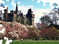 Park, Cardiff, trees, wales, Castle, flourishing, viewes