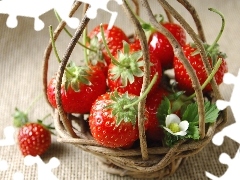 flower, strawberries, basket