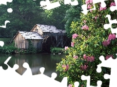 trees, Windmill, flower, Bush, viewes, water