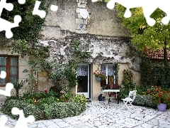 house, green, Flower-beds, Flowers