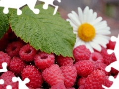 Flower, raspberries, leaves