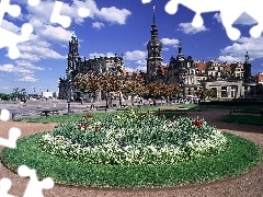 flowerbed, buildings, Germany, Theatre Square, Dresden