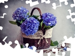 flowers, hydrangea, full, Blue, basket