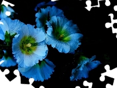 Blue, Flowers