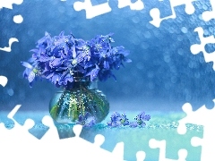 Flowers, Siberian squill, Bokeh, decoration, vase, Blue