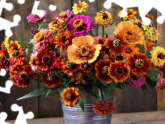 Helenium, color, Bucket, Flowers, bouquet, Zinnias, boarding