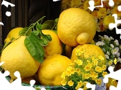 flowers, lemons, change
