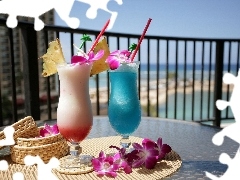 cocktails, terrace, Flowers, Table