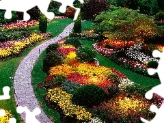 Flowers, Garden, color