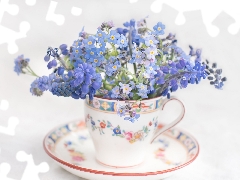 cup, Forget, Muscari, Flowers