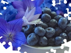 Flowers, blueberries, dish