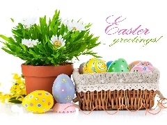 Flowers, Easter, eggs