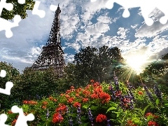 Paris, Eiffla Tower, Flowers