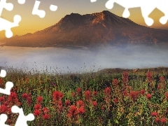 Flowers, mountains, Fog