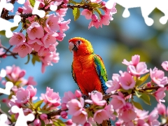 Coloured, Flowers, Fruit Tree, parrot