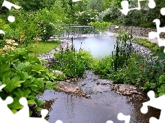 Garden, Plants, Flowers, pond