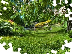 Garden, viewes, Flowers, trees