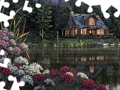 house, lake, Flowers, by