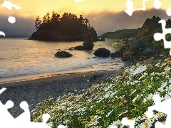 Island, Beaches, Flowers, Coast