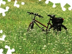 Flowers, Bike, Meadow