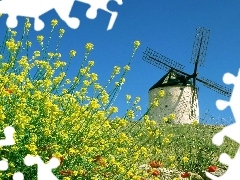 Flowers, Windmill, Meadow