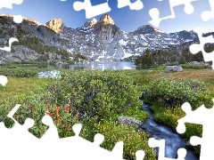 Mountains, green, Flowers, lake