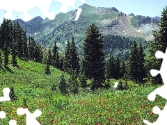 Mountains, viewes, Flowers, trees
